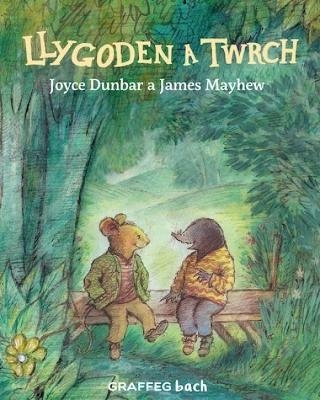 Llygoden a Twrch - Joyce Dunbar