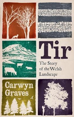 Tir - Carwyn Graves