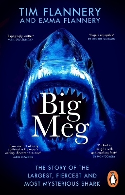 Big Meg - Tim Flannery, Emma Flannery