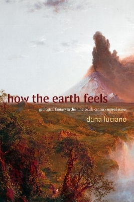 How the Earth Feels - Dana Luciano