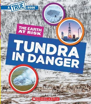 Tundra in Danger (a True Book: The Earth at Risk) - Natasha Vizcarra