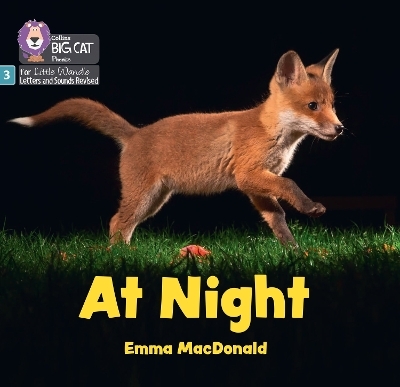 At Night - Emma MacDonald
