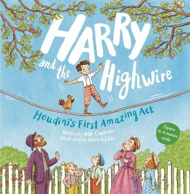 Harry and the Highwire - Julie Carpenter