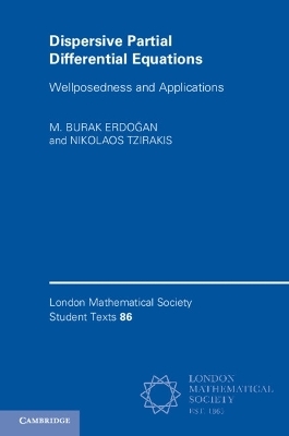 Dispersive Partial Differential Equations - M. Burak Erdoğan, Nikolaos Tzirakis