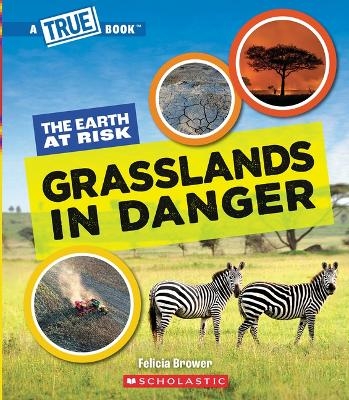 Grasslands in Danger (a True Book: The Earth at Risk) - Felicia Brower