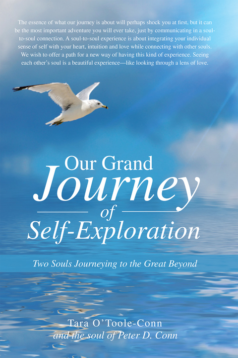 Our Grand Journey of Self-Exploration - Tara O'Toole-Conn
