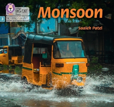 Monsoon - Saaleh Patel
