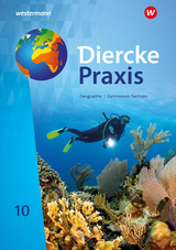 Diercke Praxis SI - Ausgabe 2019 für Gymnasien in Sachsen - Jana Baldauf, Kerstin Bräuer, Sascha Kotztin, Annett Krüger, Frank Morgeneyer, Steffen Pabst, Florian Ringel