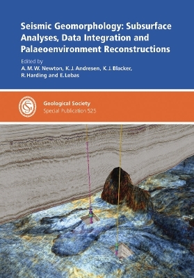 Seismic Geomorphology: Subsurface Analyses, Data Integration and Palaeoenvironment Reconstruction - 