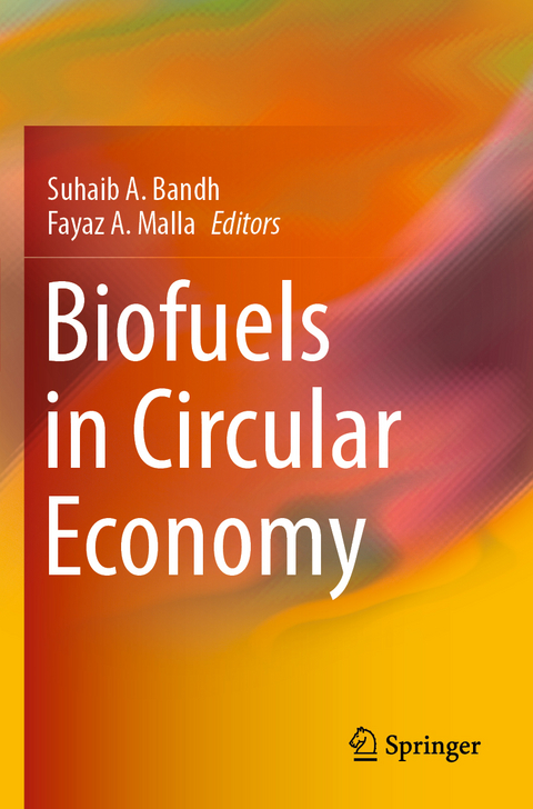 Biofuels in Circular Economy - 