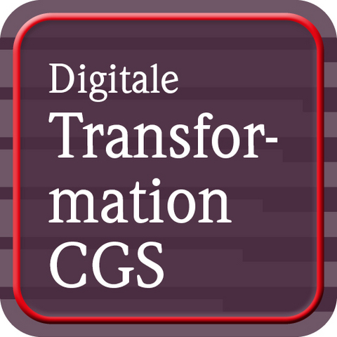 Digitale Transformation von Corporate-Governance-Systemen - Jan Grüne