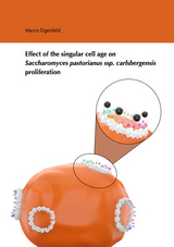 Effect of the singular cell age on Saccharomyces pastorianus ssp. carlsbergensis proliferation - Marco Eigenfeld