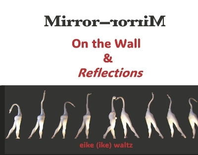 Mirror-Mirror on the Wall & Reflections - Eike Waltz