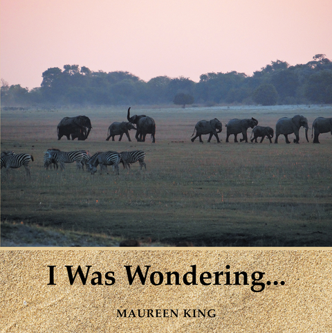 I Was Wondering... - Maureen King