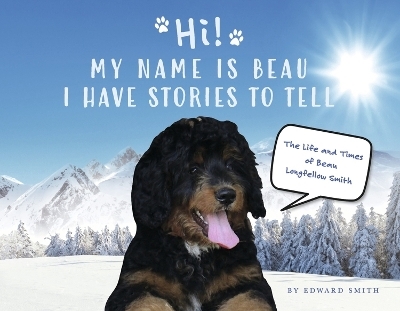 Hi! My Name Is Beau I Have Stories to Tell - Edward Smith