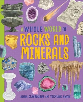 A Whole World of...: Rocks and Minerals - Anna Claybourne