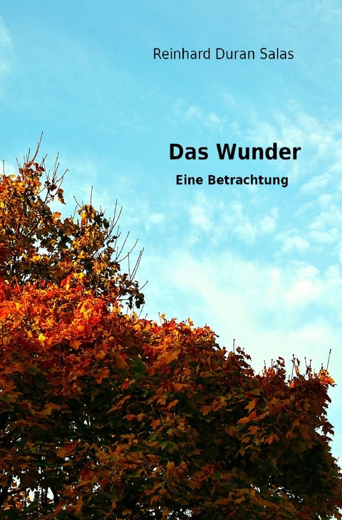 Das Wunder - Reinhard Duran Salas