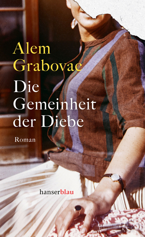 Die Gemeinheit der Diebe - Alem Grabovac