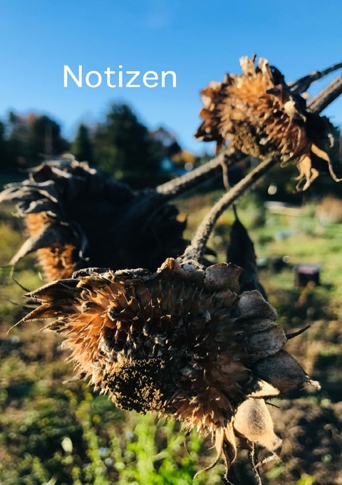 Notizen - brids planer