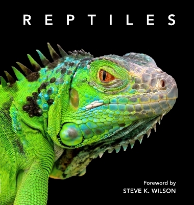 Reptiles - Steve Wilson