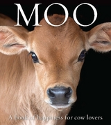 Moo - St John Galloway, Angus