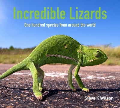 Incredible Lizards - Steve K. Wilson