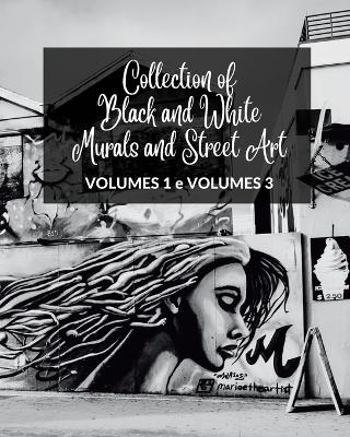 Collection of Black and White Murals and Street Art - Volumes 1 and 3 - Frankie The Sign