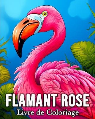 Flamant Rose Livre de Coloriage - Mandykfm Bb