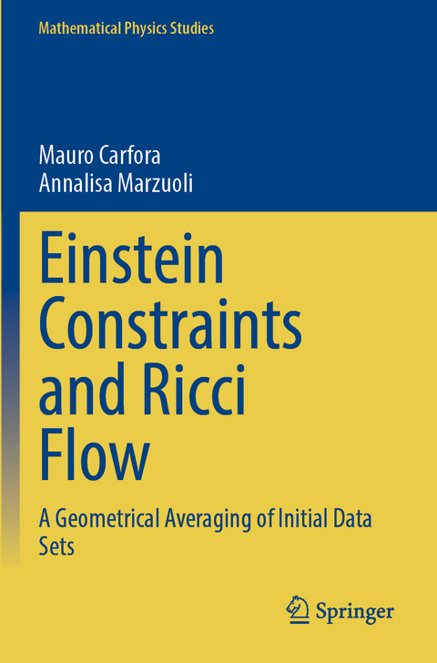 Einstein Constraints and Ricci Flow - Mauro Carfora, Annalisa Marzuoli