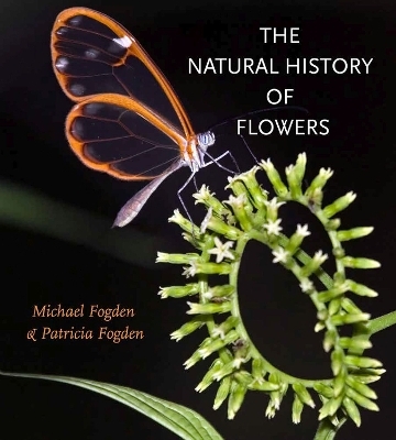 The Natural History of Flowers - Michael Fogden, Patricia Fogden