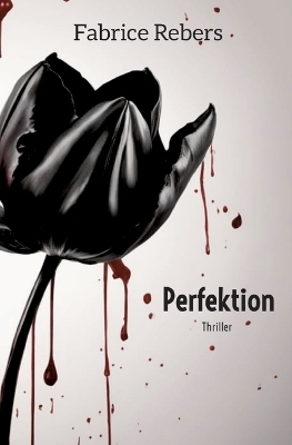 Perfektion - Fabrice Rebers
