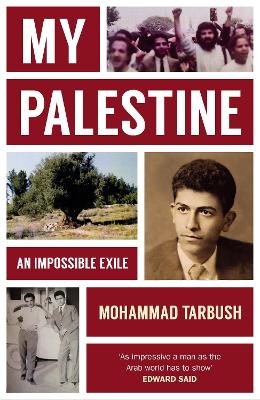 My Palestine - Mohammad Tarbush