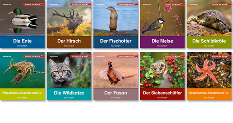 Schauen und Wissen! Wildtiere bei uns (Staffel V)