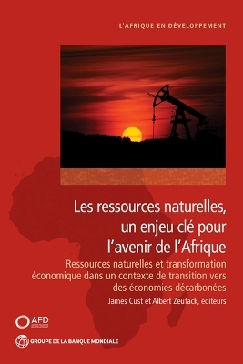 Les ressources naturelles, un enjeu clé pour l'avenir de I'Afrique - James Cust, Albert Zeufack