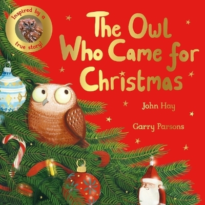 The Owl Who Came for Christmas - John Hay
