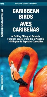 Caribbean Birds/Aves Caribenas -  Waterford Press