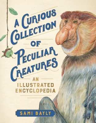 A Curious Collection of Peculiar Creatures - Sami Bayly