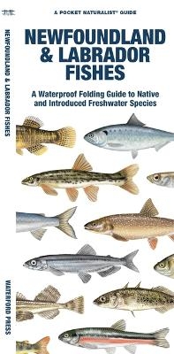 Newfoundland & Labrador Fishes - Matthew Morris,  Waterford Press