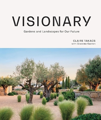 Visionary - Claire Takacs