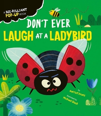 Don't Ever Laugh at a Ladybird - Harriet Evans