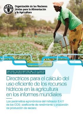 Directrices para el cálculo del uso eficiente de los recursos hídricos en la agricultura en los informes mundiales - V. Gillet, R. Biancalani