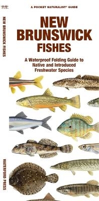 New Brunswick Fishes - Matthew Morris,  Waterford Press