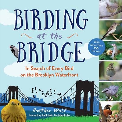 Birding at the Bridge - Heather Wolf