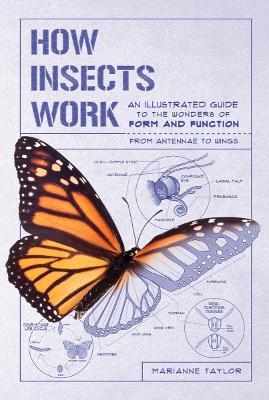 How Insects Work - Marianne Taylor