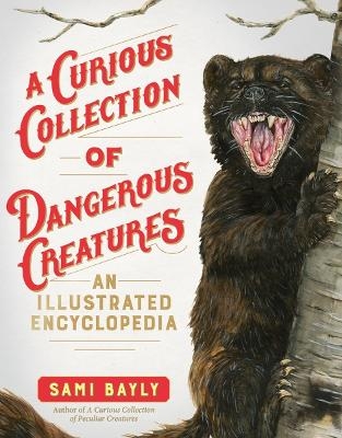 A Curious Collection of Dangerous Creatures - Sami Bayly