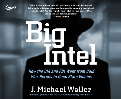 Big Intel - J Michael Waller