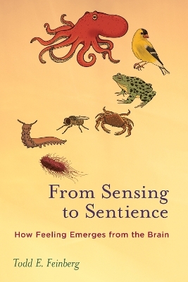 From Sensing to Sentience - Todd E. Feinberg