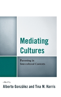 Mediating Cultures - 