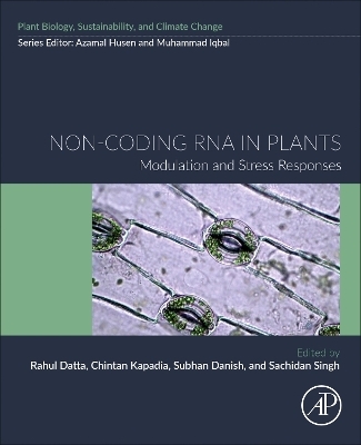 Non-coding RNA in Plants - 