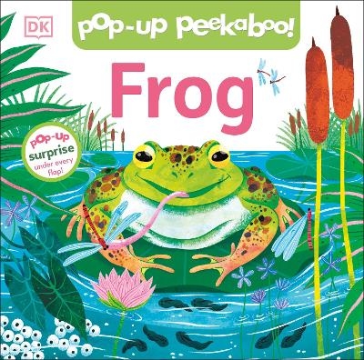 Pop-Up Peekaboo! Frog -  Dk